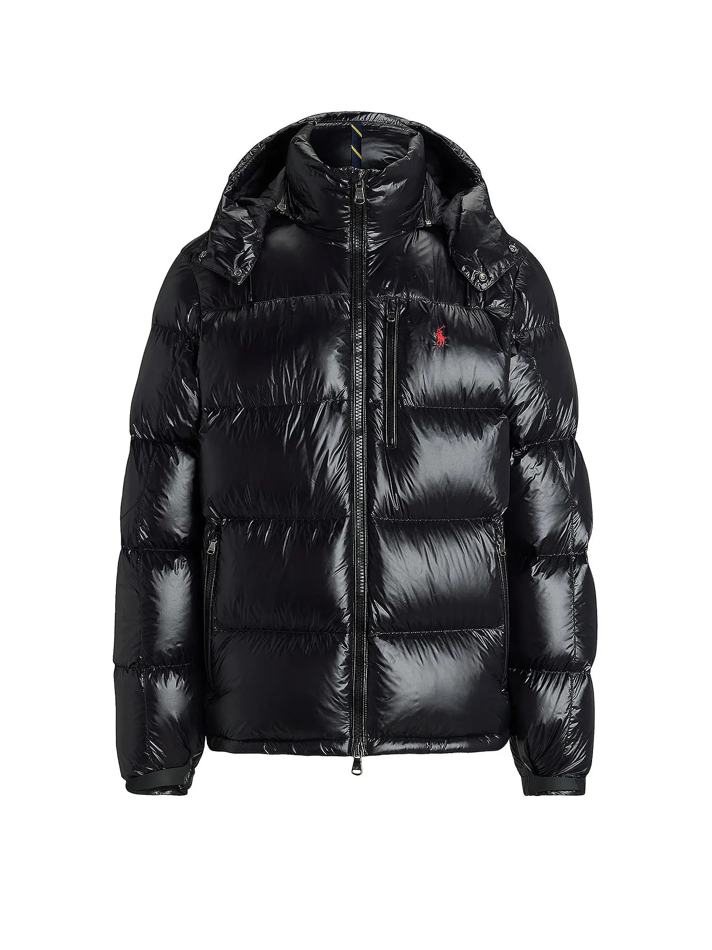 'RL' Shiny Puffer