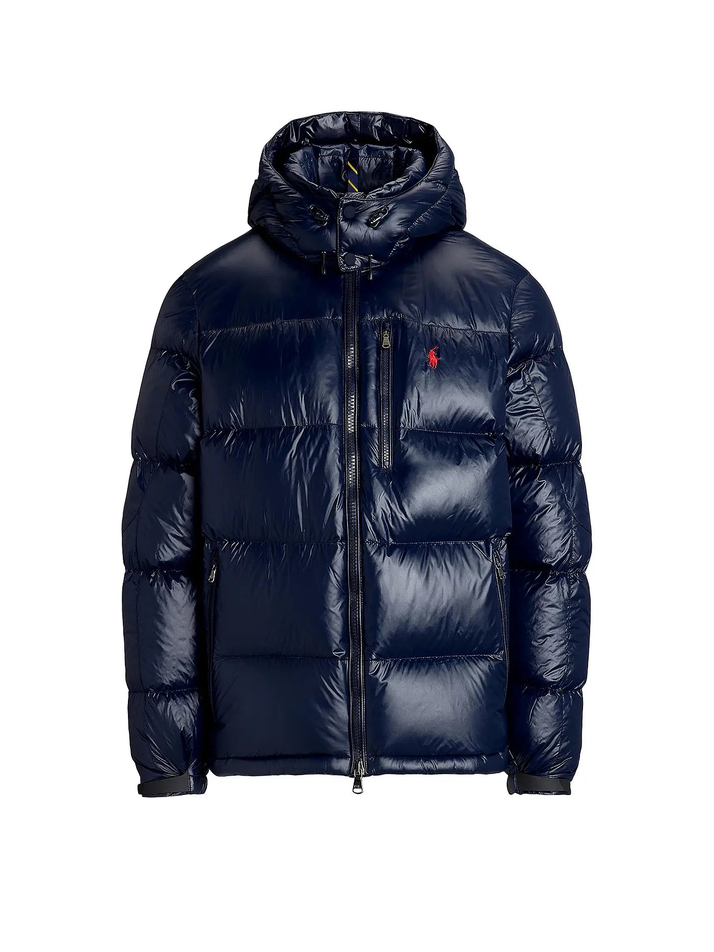 'RL' Shiny Puffer